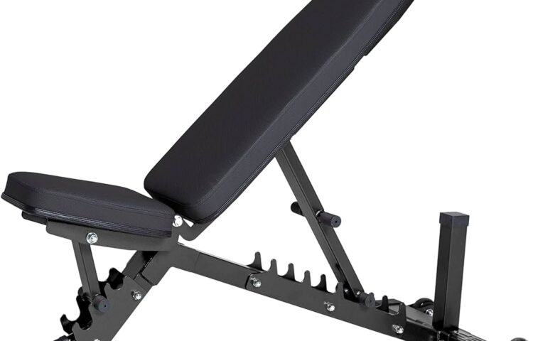 8 Reasons Why the Flybird Weight Bench is Every Fitness Enthusiast's Dream